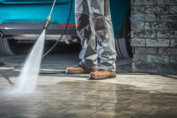 Best Roof Cleaning and Mildew Removal in Baker, MT